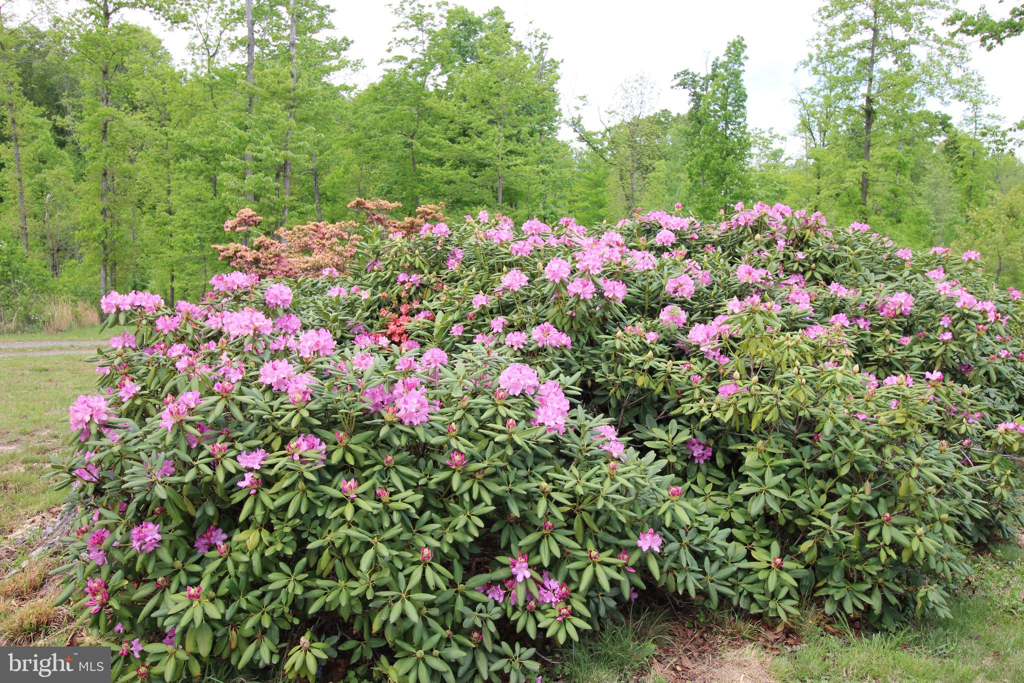 10528 Pineview Road Manassas, VA 20111 - Photo 57 of 61