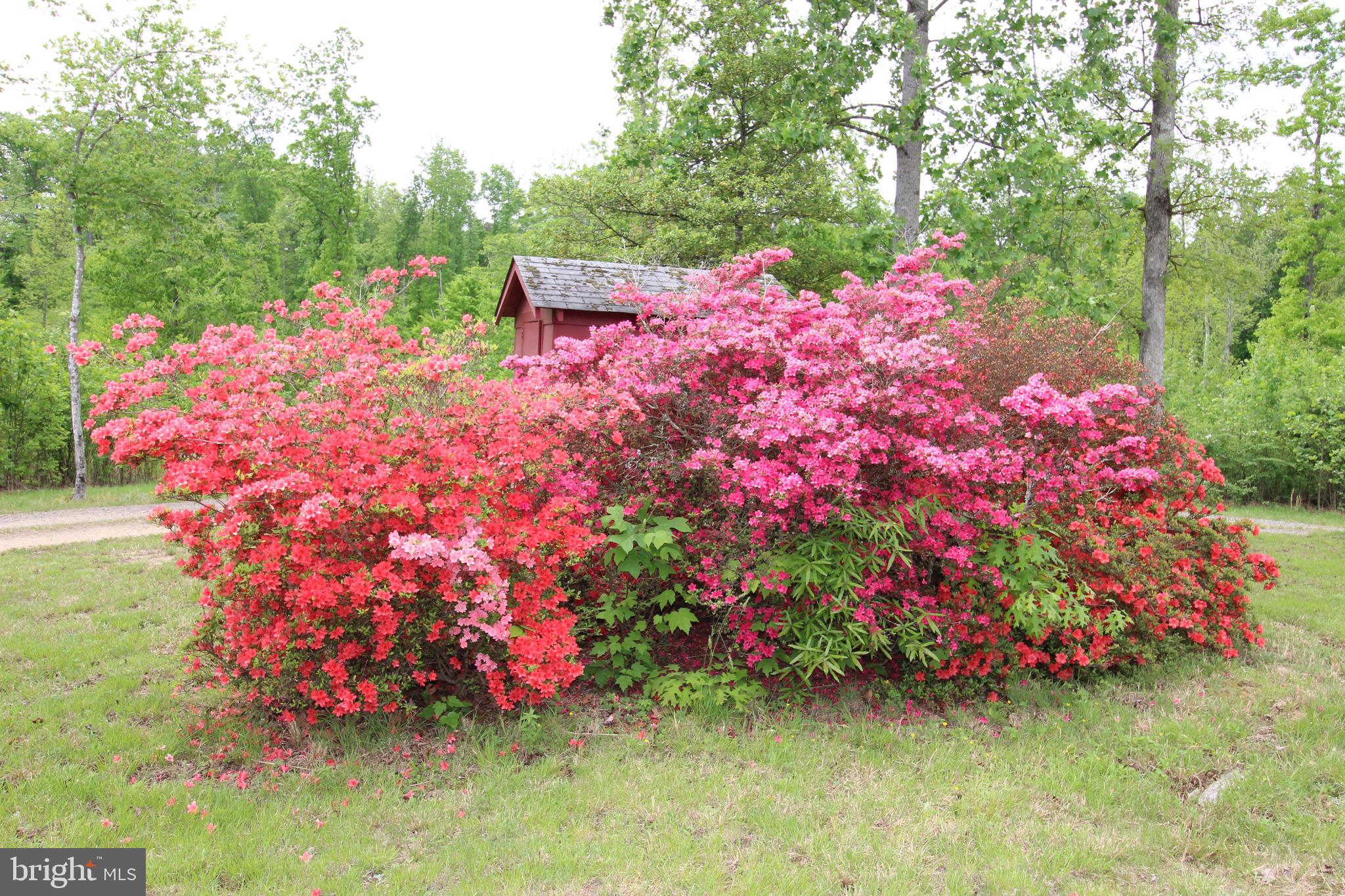 10528 Pineview Road Manassas, VA 20111 - Photo 58 of 61