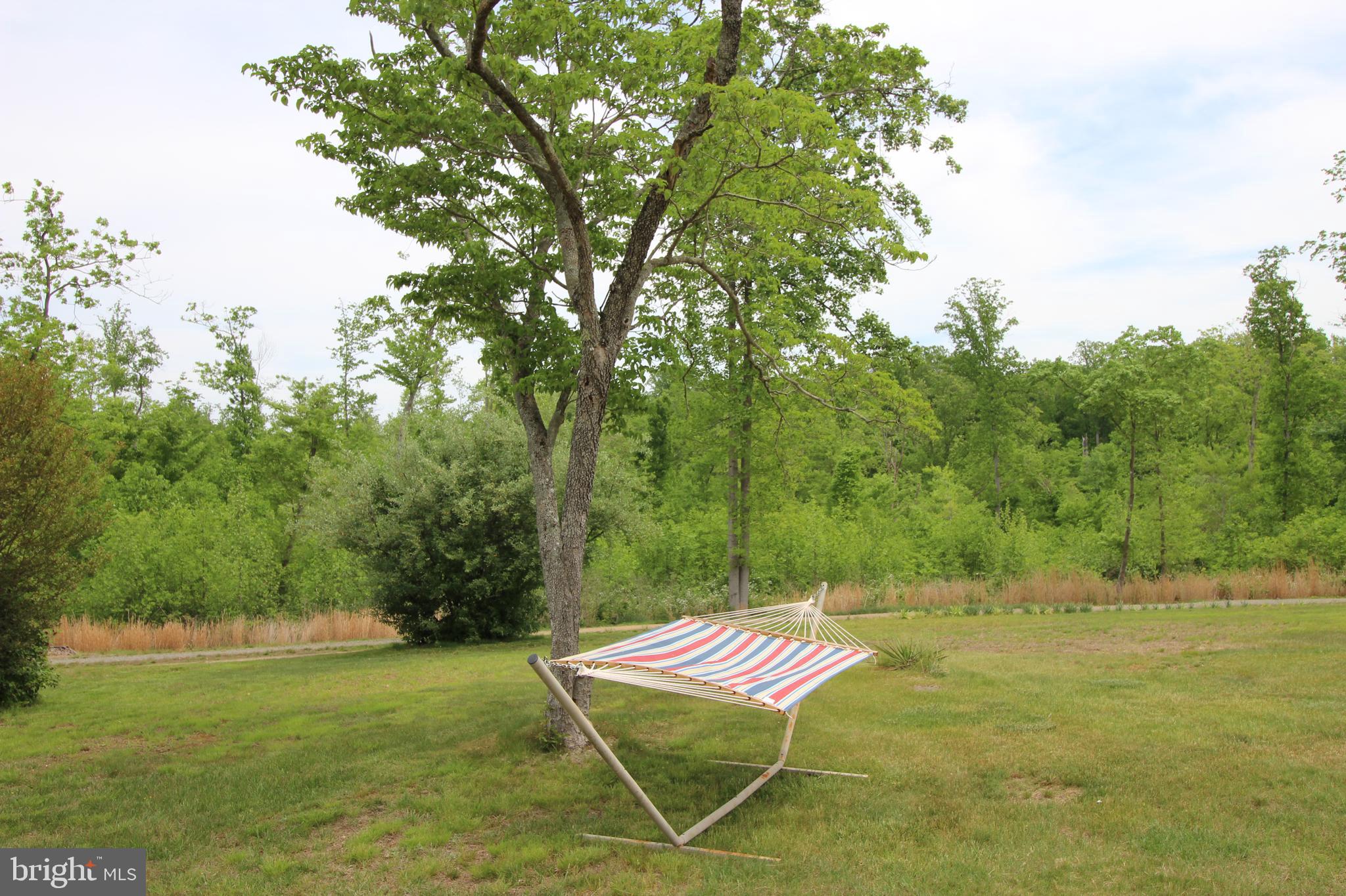 10528 Pineview Road Manassas, VA 20111 - Photo 60 of 61 Time for a nap