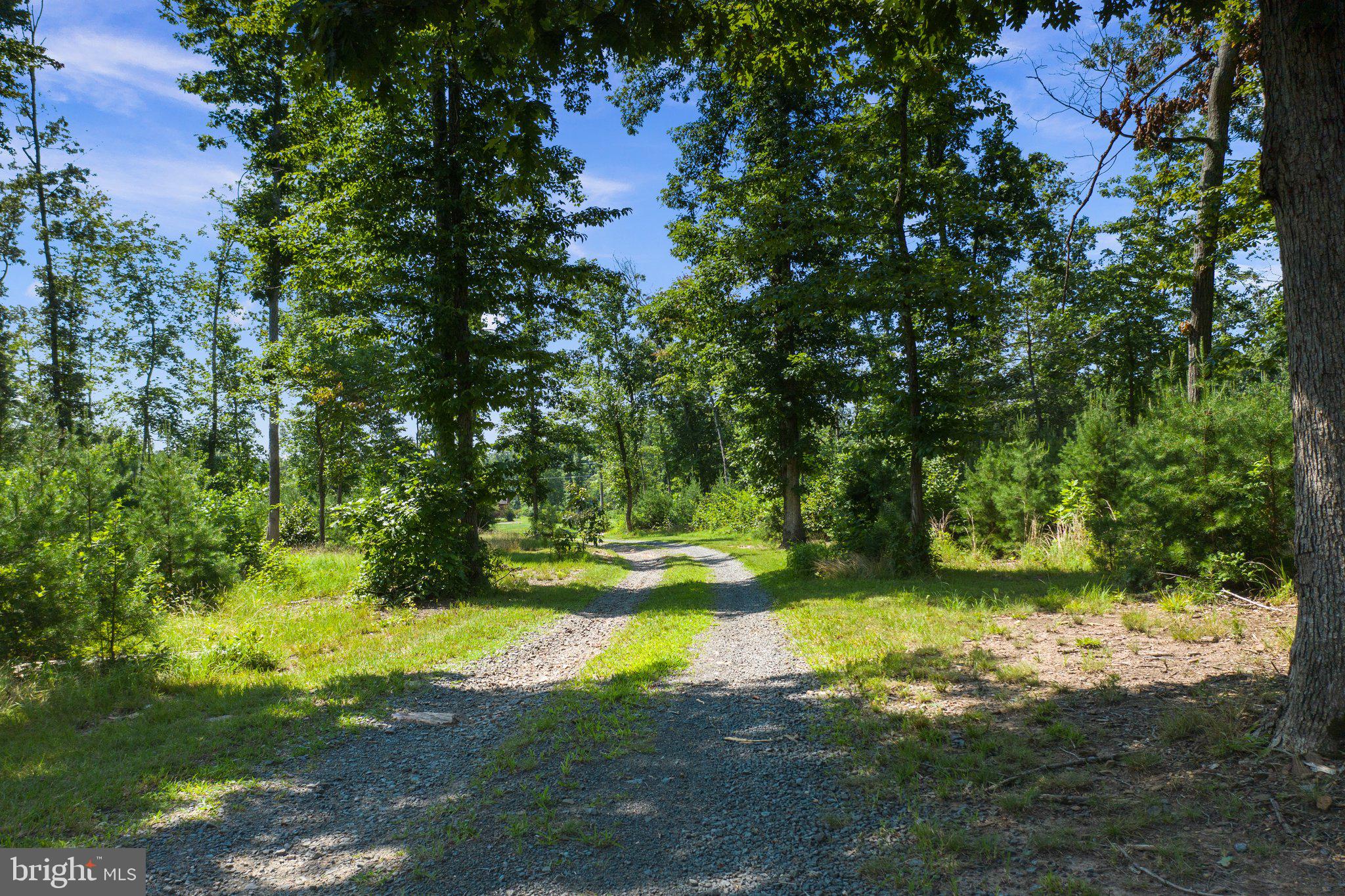 10528 Pineview Road Manassas, VA 20111 - Photo 7 of 61 Entry drive