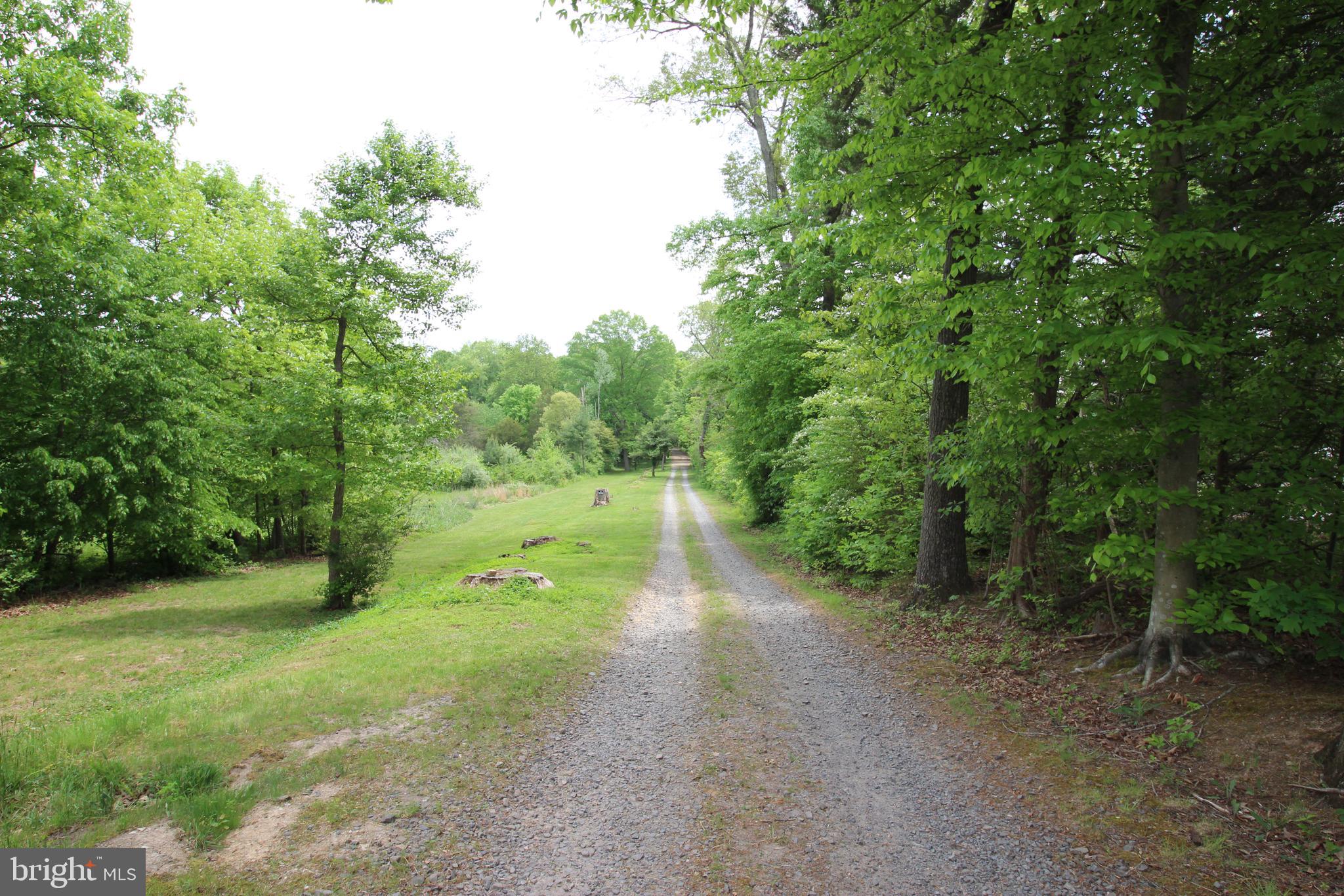 10528 Pineview Road Manassas, VA 20111 - Photo 8 of 61