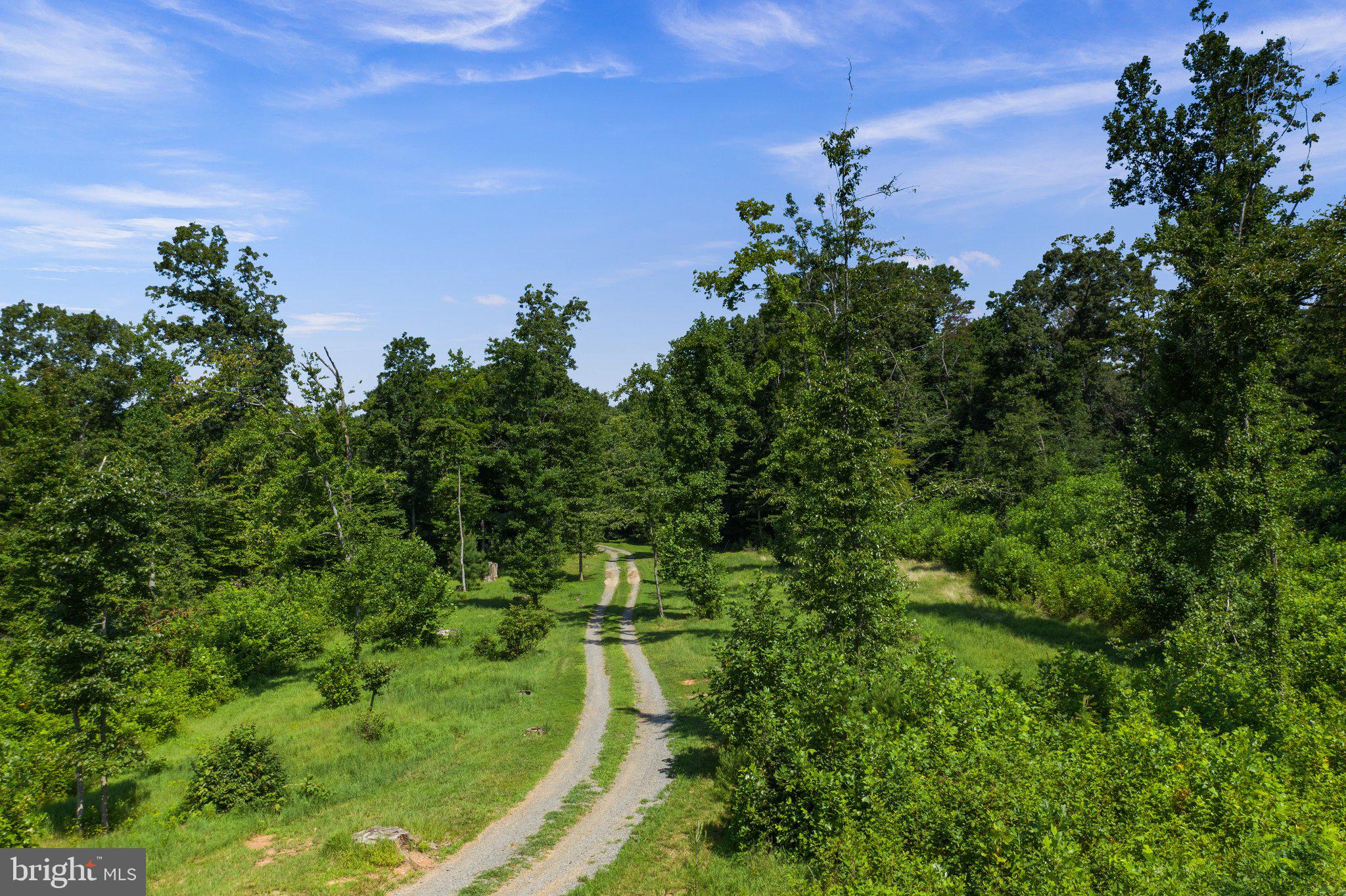 10528 Pineview Road Manassas, VA 20111 - Photo 10 of 61 Tree lined 1/4 mile private driveway