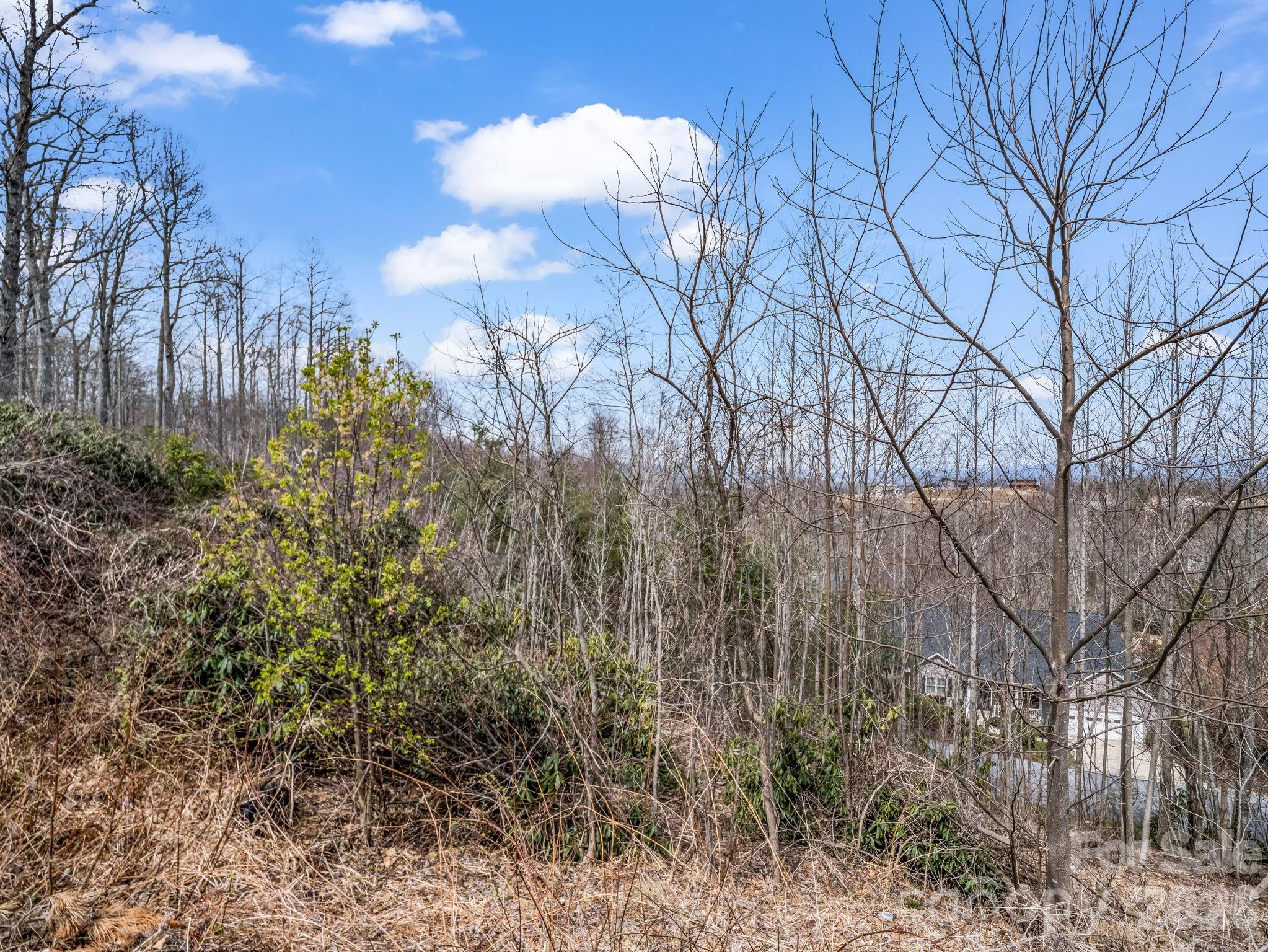 2325 Pommel Road, Unit 2325 Hendersonville, NC 28791 - Photo 15 of 19 a view of a yard