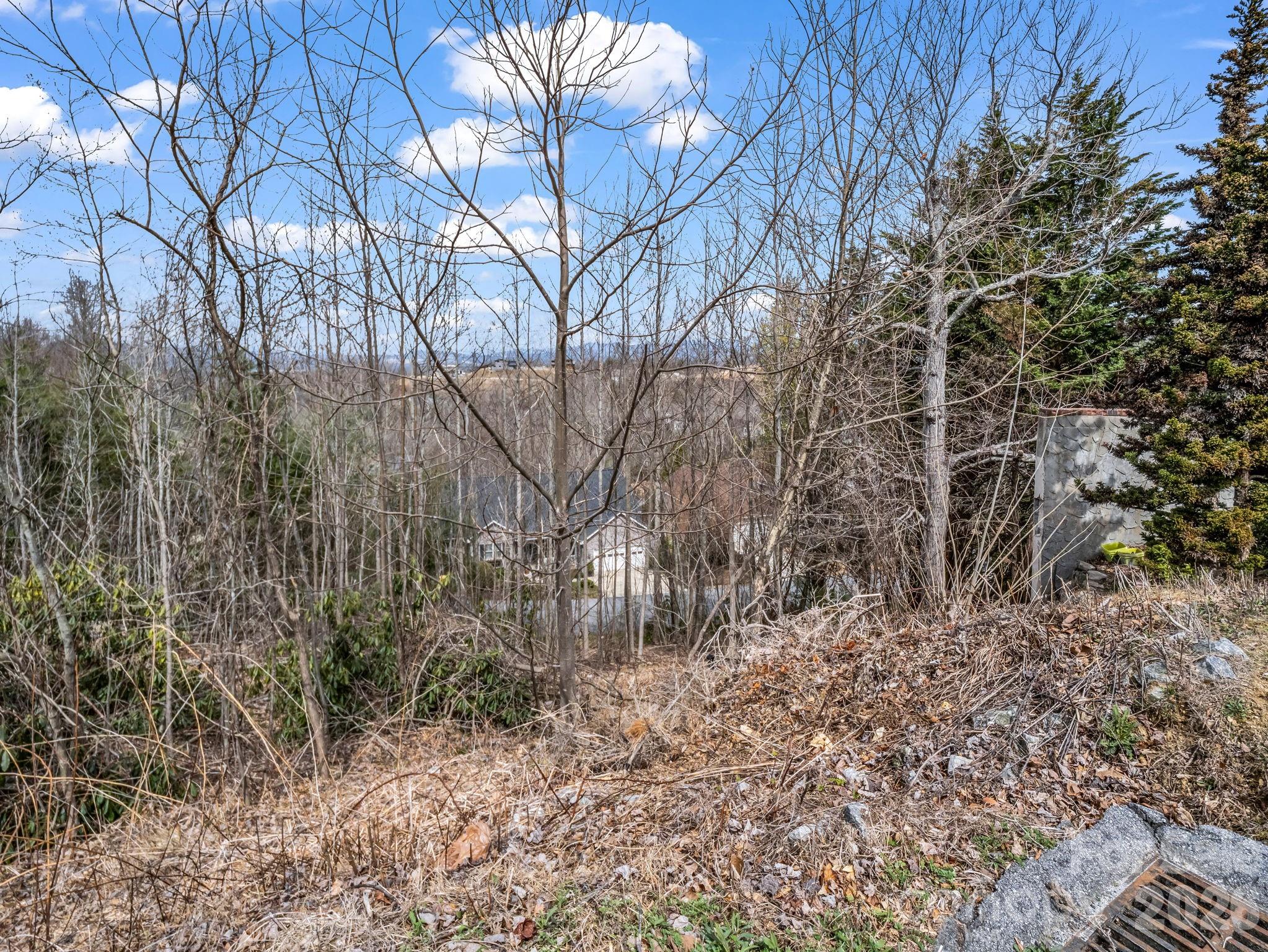 2325 Pommel Road, Unit 2325 Hendersonville, NC 28791 - Photo 16 of 19 a backyard of a house with lots of green space
