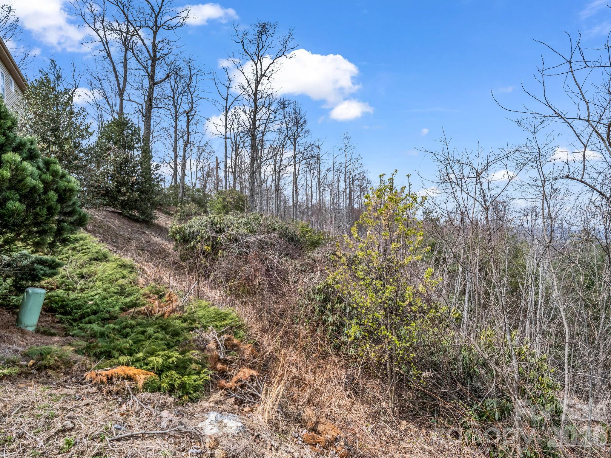 2325 Pommel Road, Unit 2325 Hendersonville, NC 28791 - Photo 17 of 19 a view of a yard