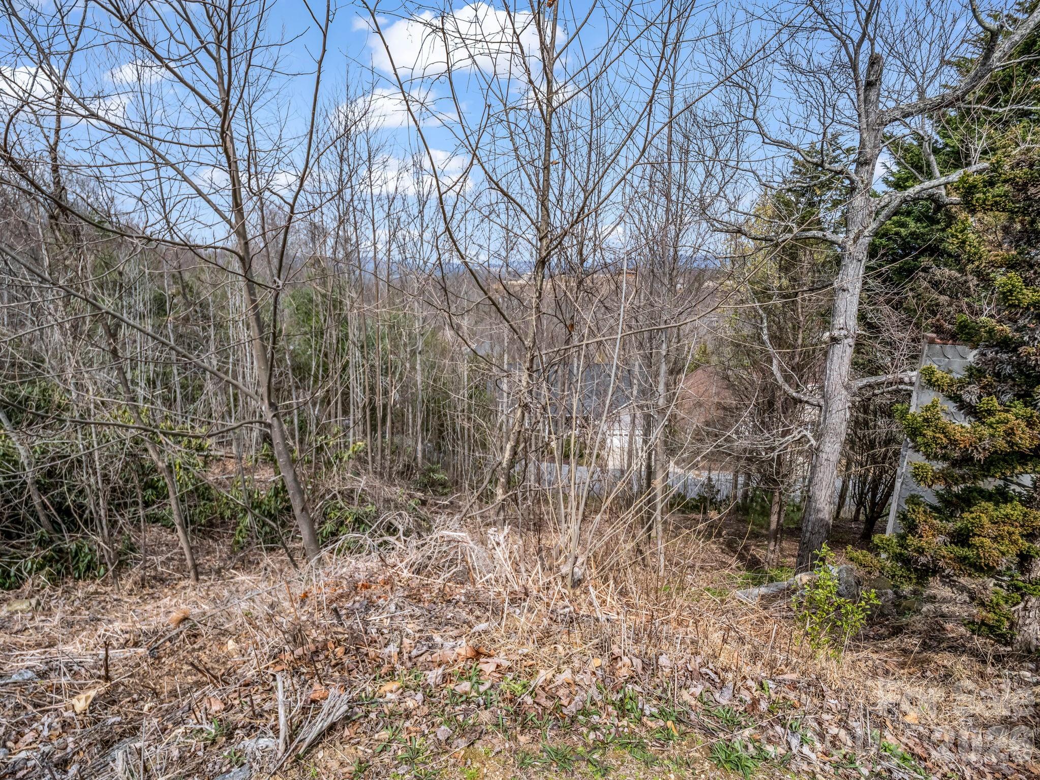 2325 Pommel Road, Unit 2325 Hendersonville, NC 28791 - Photo 18 of 19 a backyard of a house with lots of green space