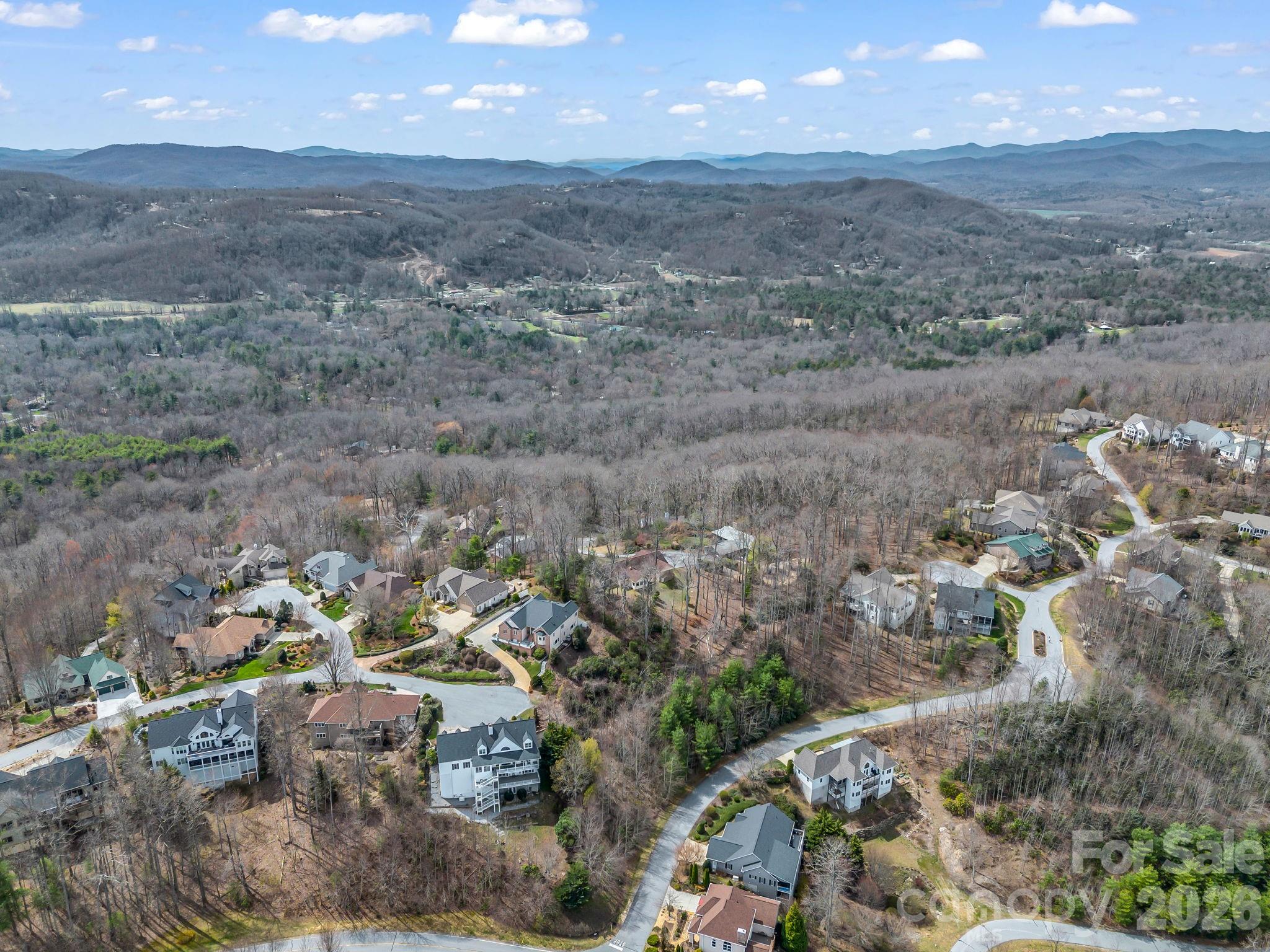 2325 Pommel Road, Unit 2325 Hendersonville, NC 28791 - Photo 9 of 19