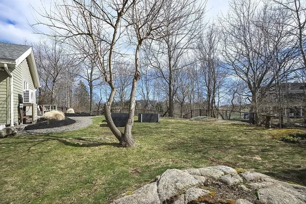a view of a yard with a tree