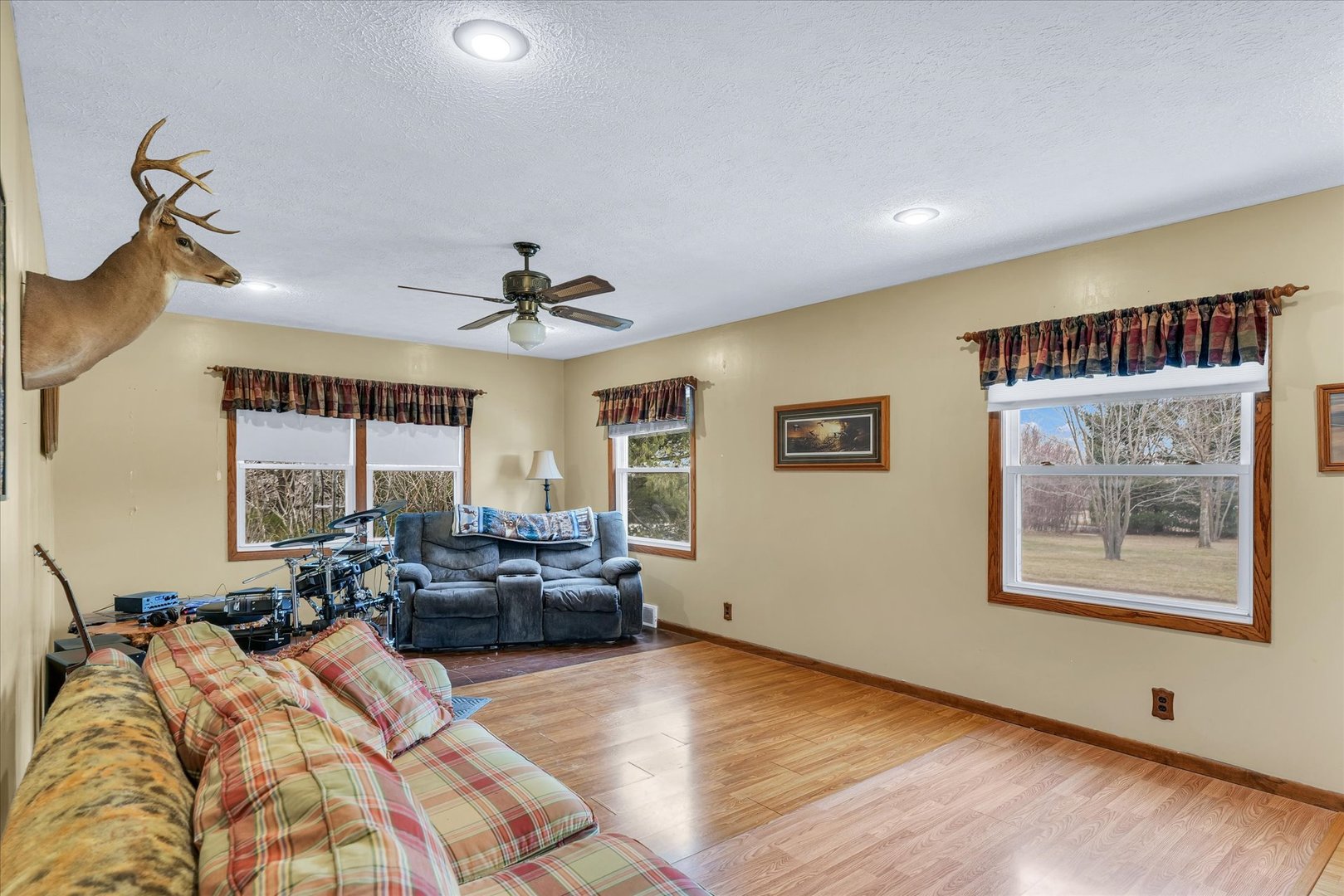 27238 East 100 N Road Strawn, IL 61775 - Photo 4 of 23