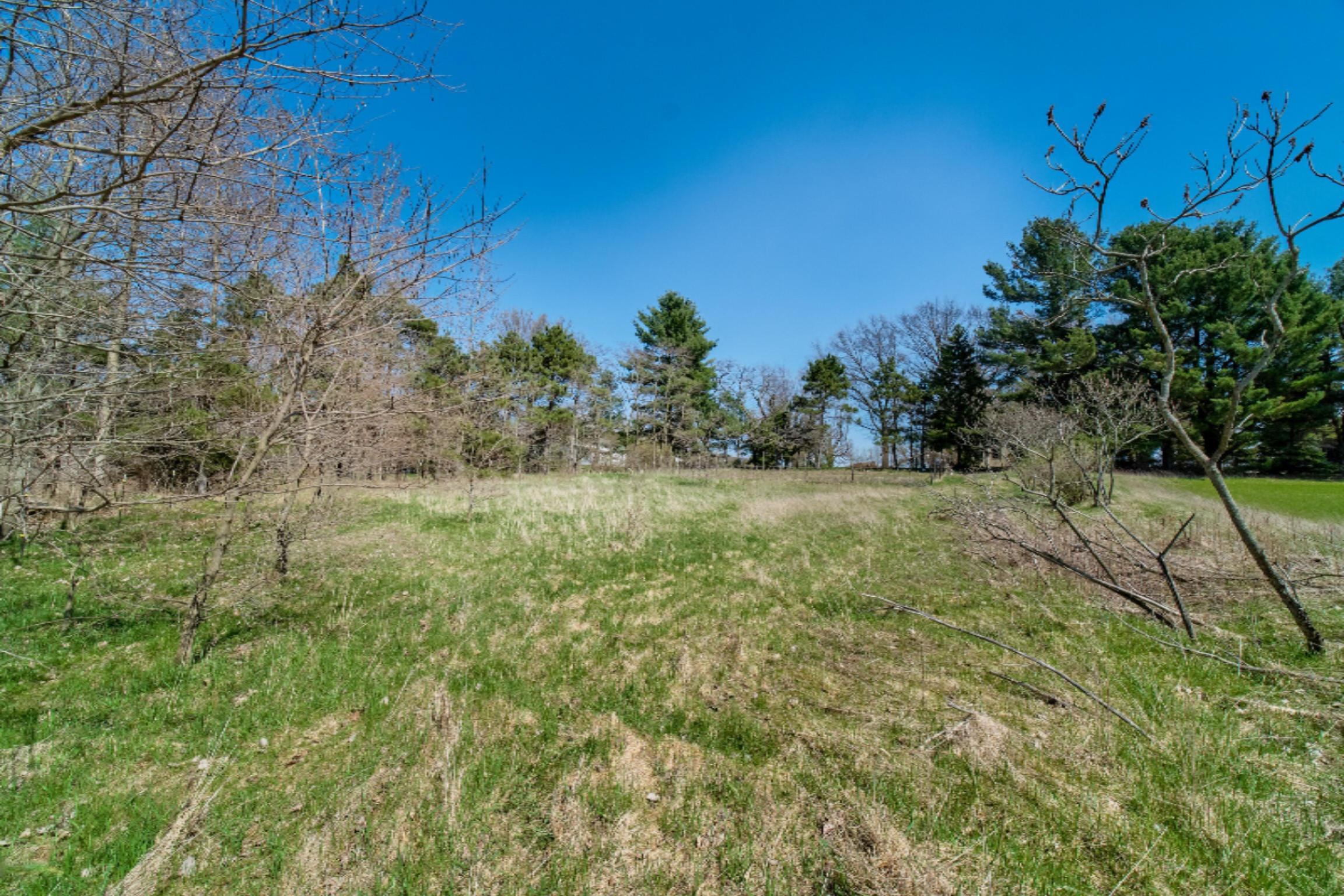 4487 West Harrison Road Hart, MI 49420 - Photo 63 of 67 W_Harrison_Rd-62