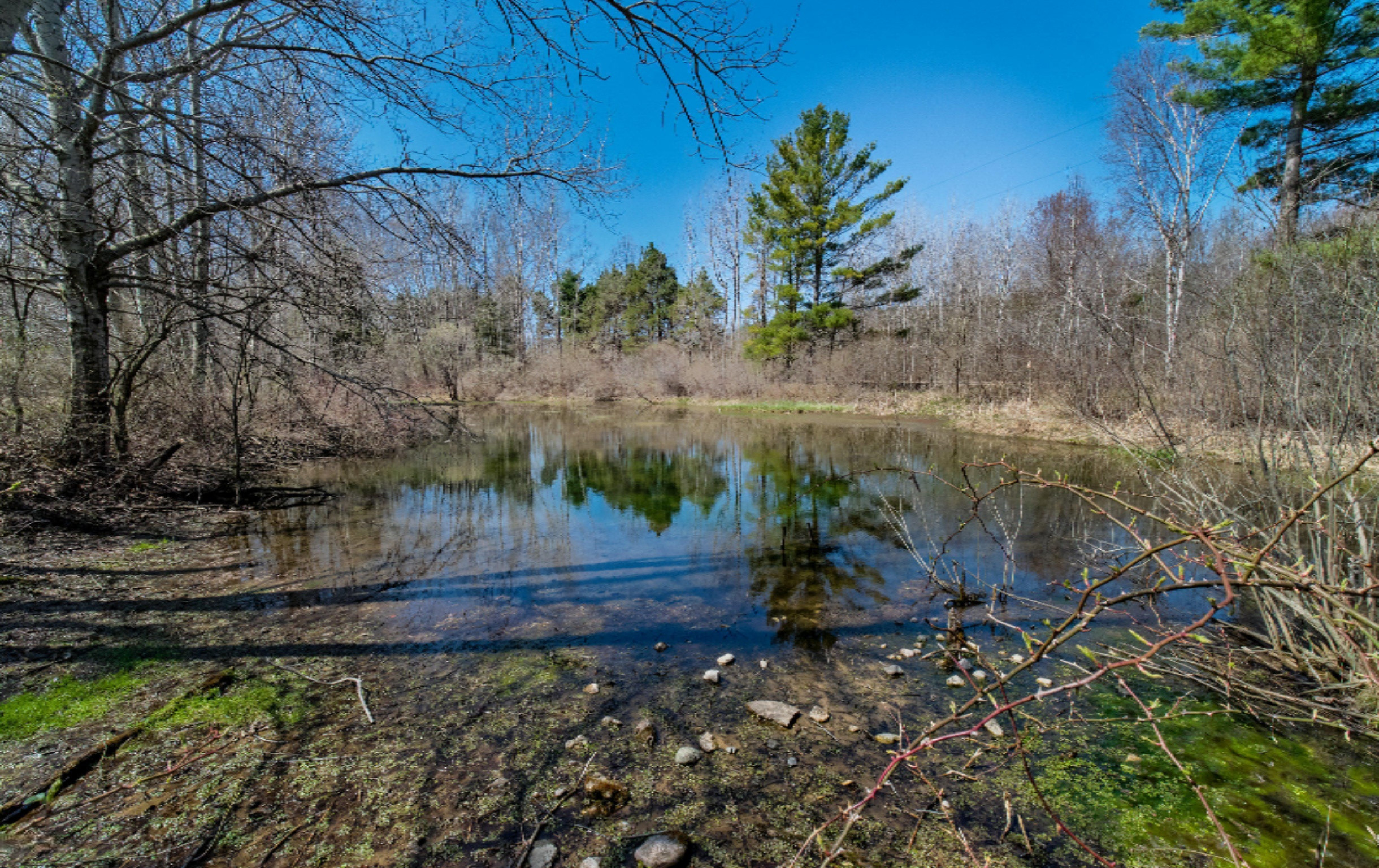 4487 West Harrison Road Hart, MI 49420 - Photo 65 of 67 W_Harrison_Rd-64