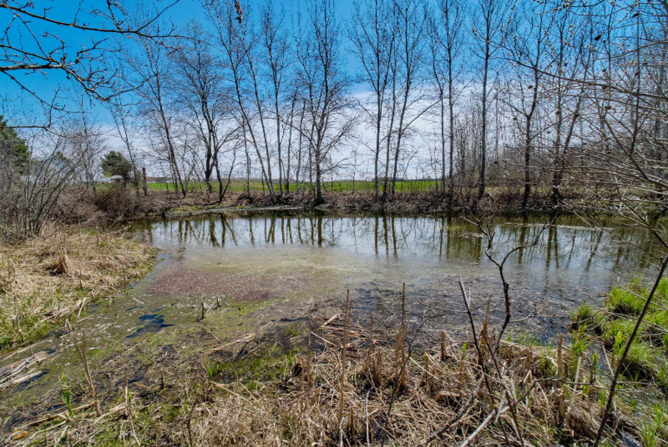 4487 West Harrison Road Hart, MI 49420 - Photo 66 of 67 W_Harrison_Rd-65