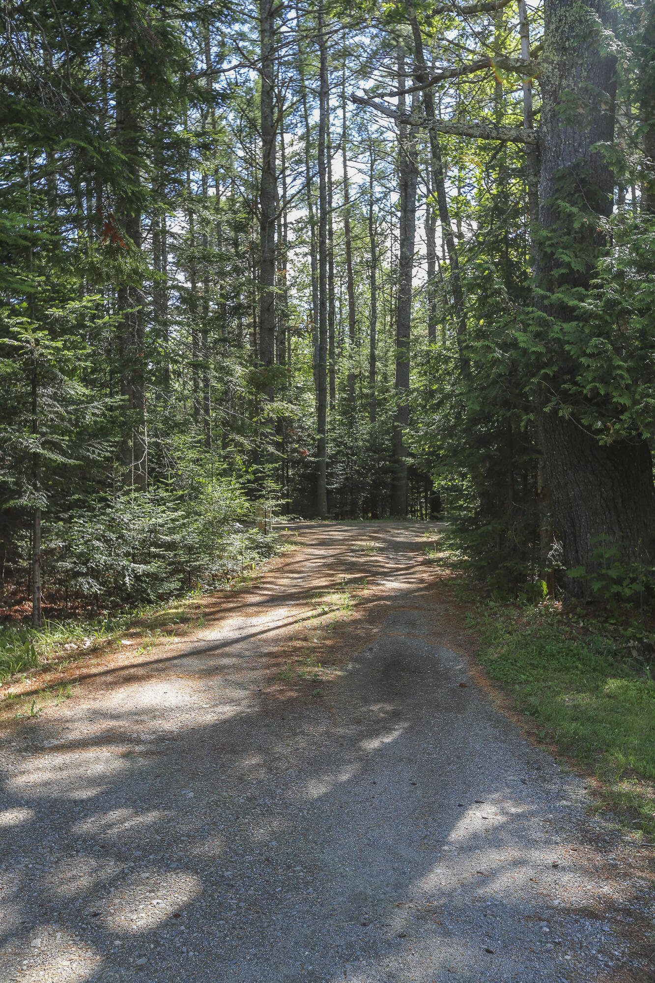 502 Curtis Road Swanville, ME 04915 - Photo 38 of 70 SearsportMaine-52