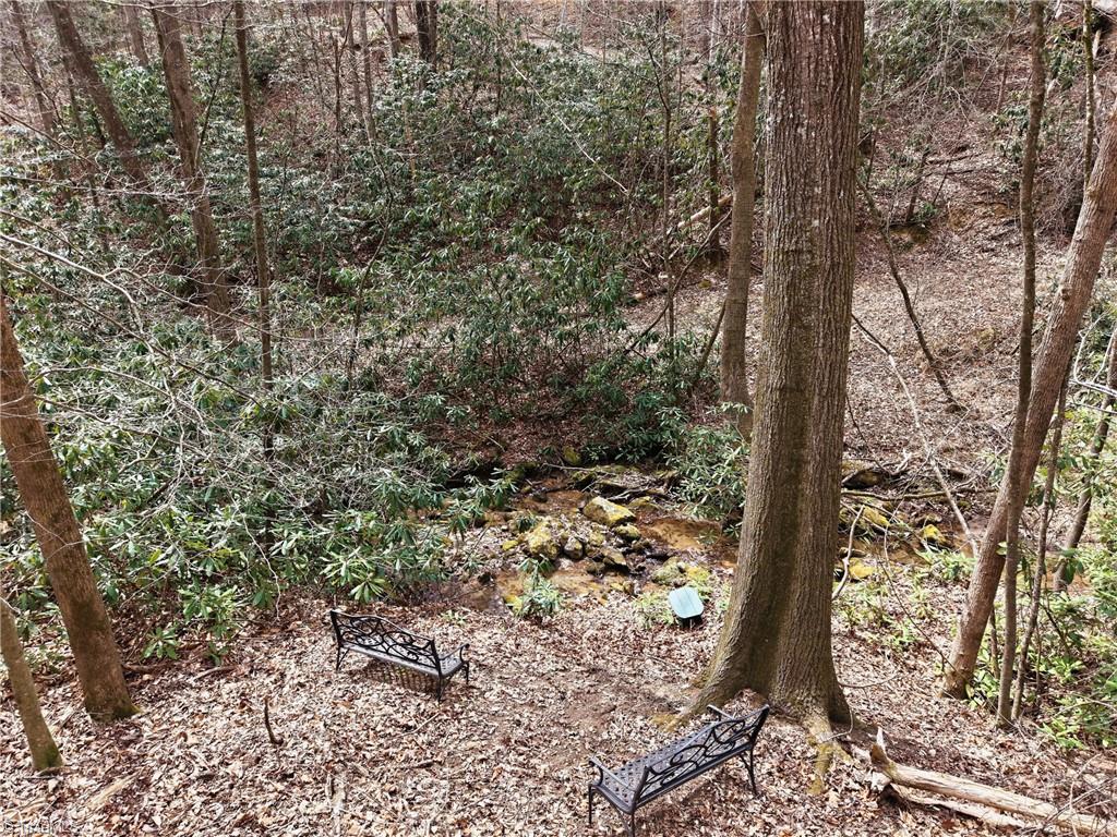 Lot 109-110 Pepper Bush Road Purlear, NC 28665 - Photo 21 of 36 Gallery Image 21