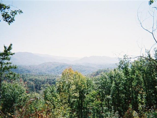 850 Bluff Road Marble, NC 28905 - Photo 4 of 8