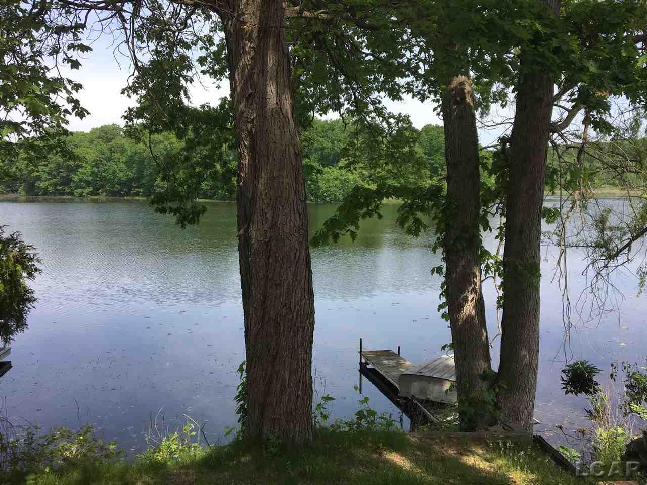 584 Wolff Road Manchester, MI 48158 - Photo 5 of 39