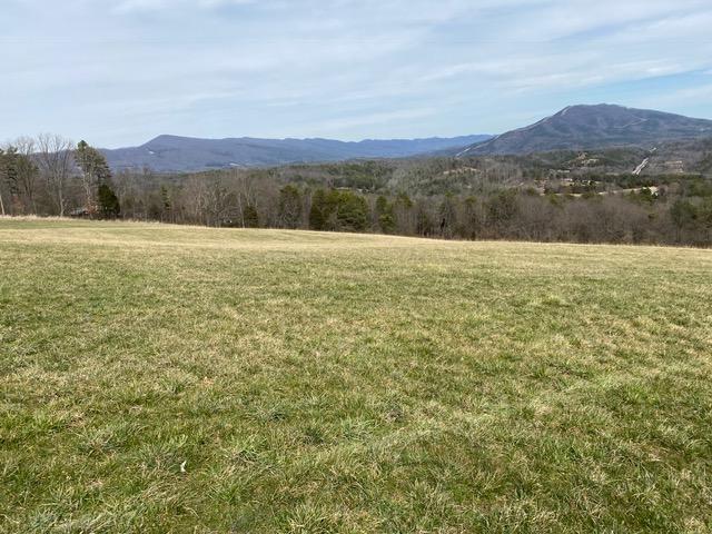 0 North Fork Road Elliston, VA 24087 - Photo 2 of 2 Gallery Image 2
