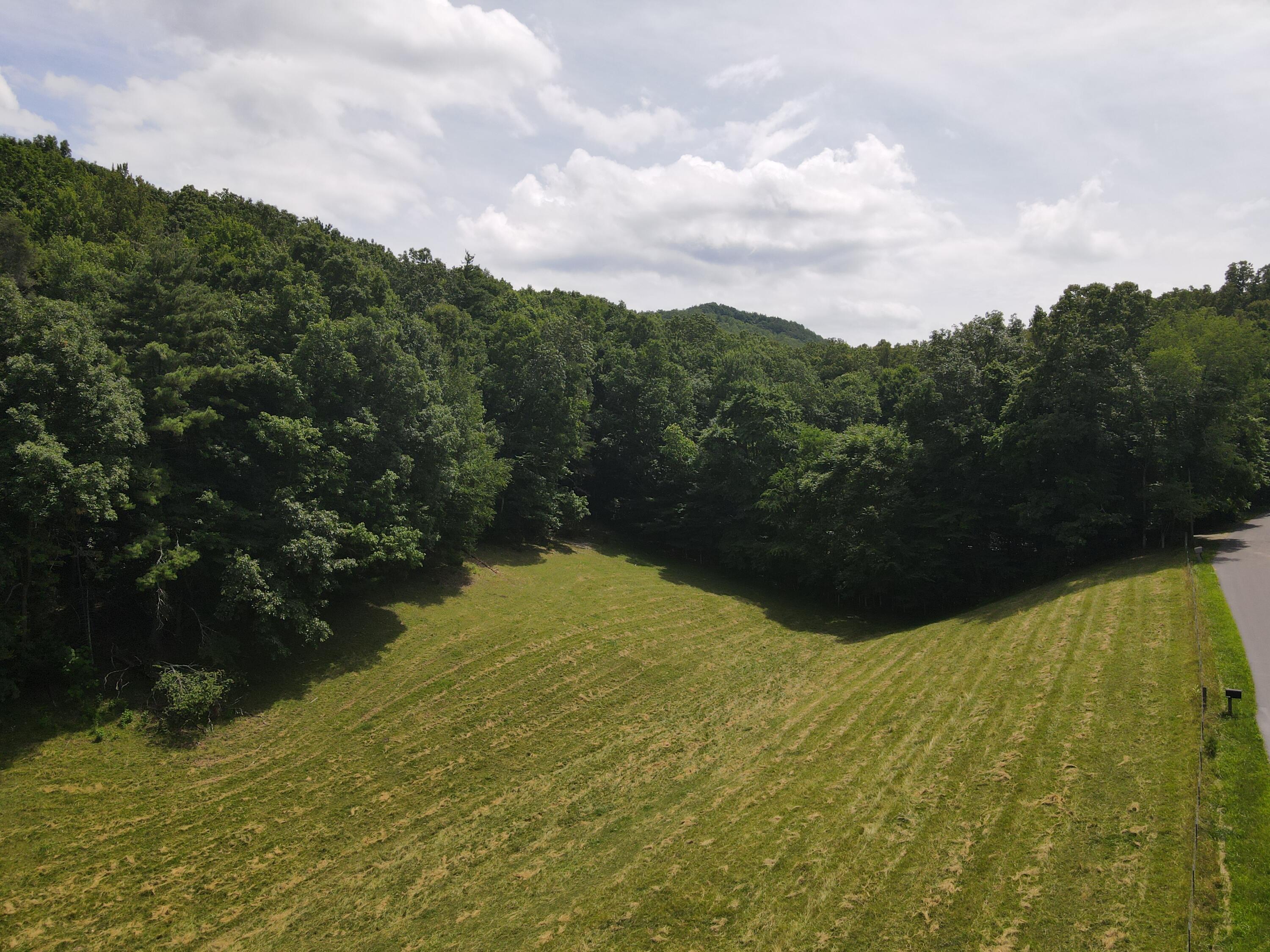 Tbd Whispering Pines Road, Unit 21 Johnson City, TN 37601 - Photo 3 of 7 DJI_0374