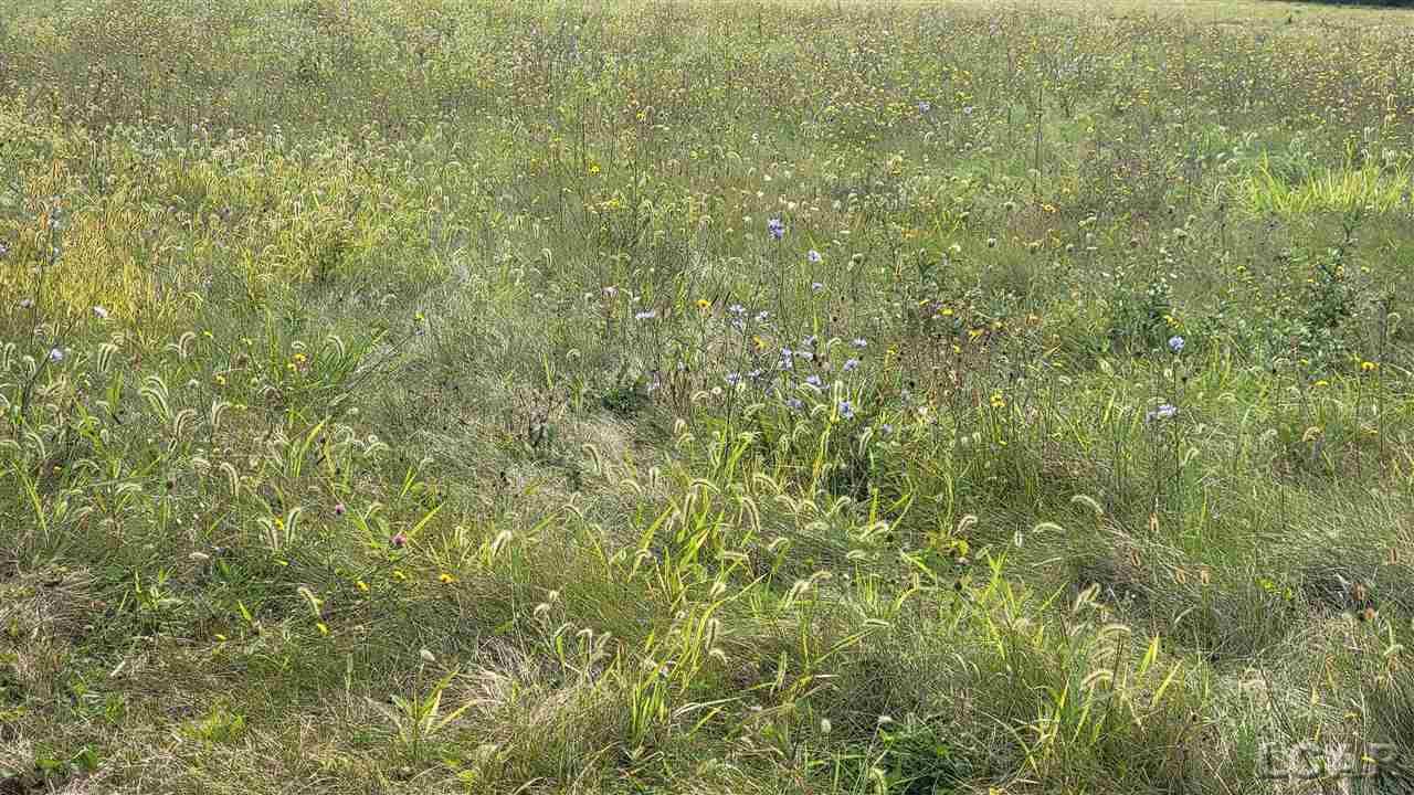 Vl South Custer Road Monroe, MI 48161 - Photo 5 of 6