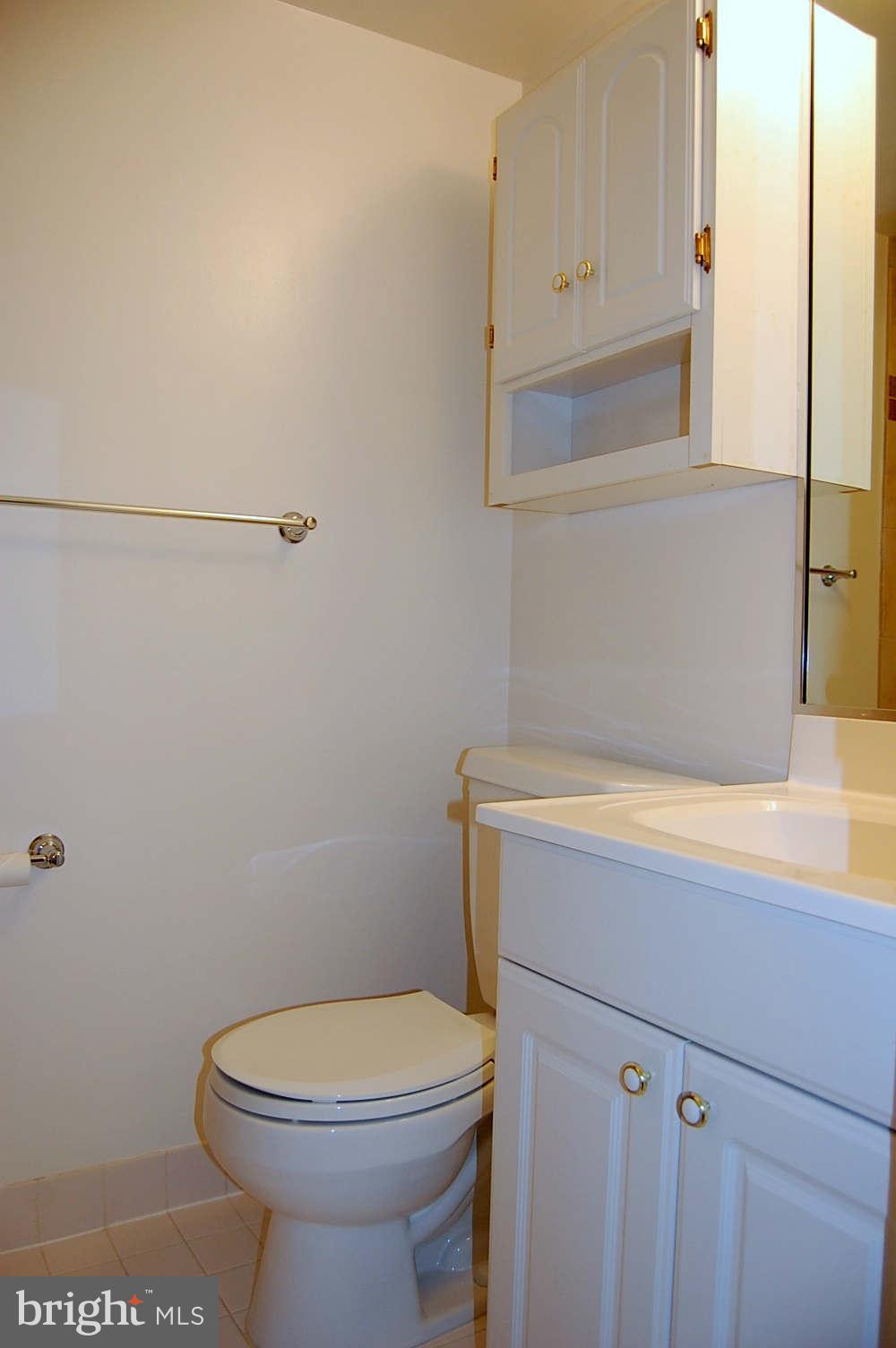 11604 Stoneview Square, Unit 11C Reston, VA 20191 - Photo 12 of 15 Bath (Master)