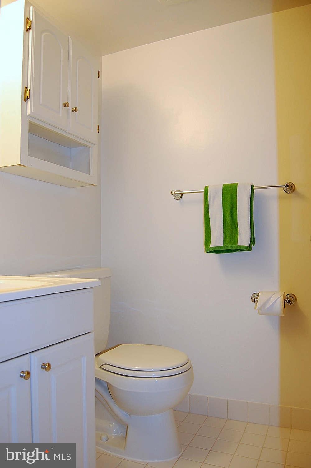 11604 Stoneview Square, Unit 11C Reston, VA 20191 - Photo 14 of 15 Bathroom #2