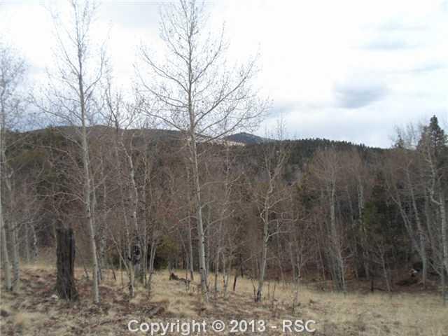 340 Princess Road Cripple Creek, CO 80813 - Photo 6 of 10 Gallery Image 6