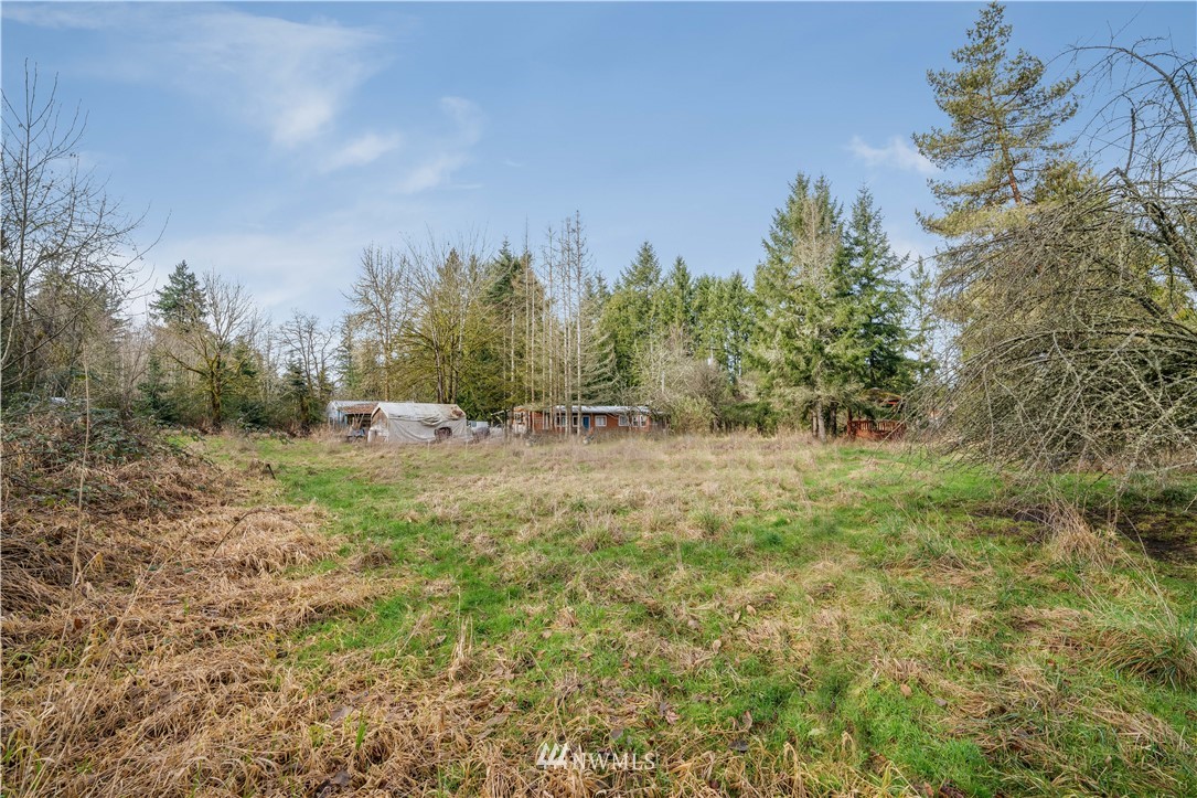 221 Guerrier Road Chehalis, WA 98532 - Photo 4 of 23