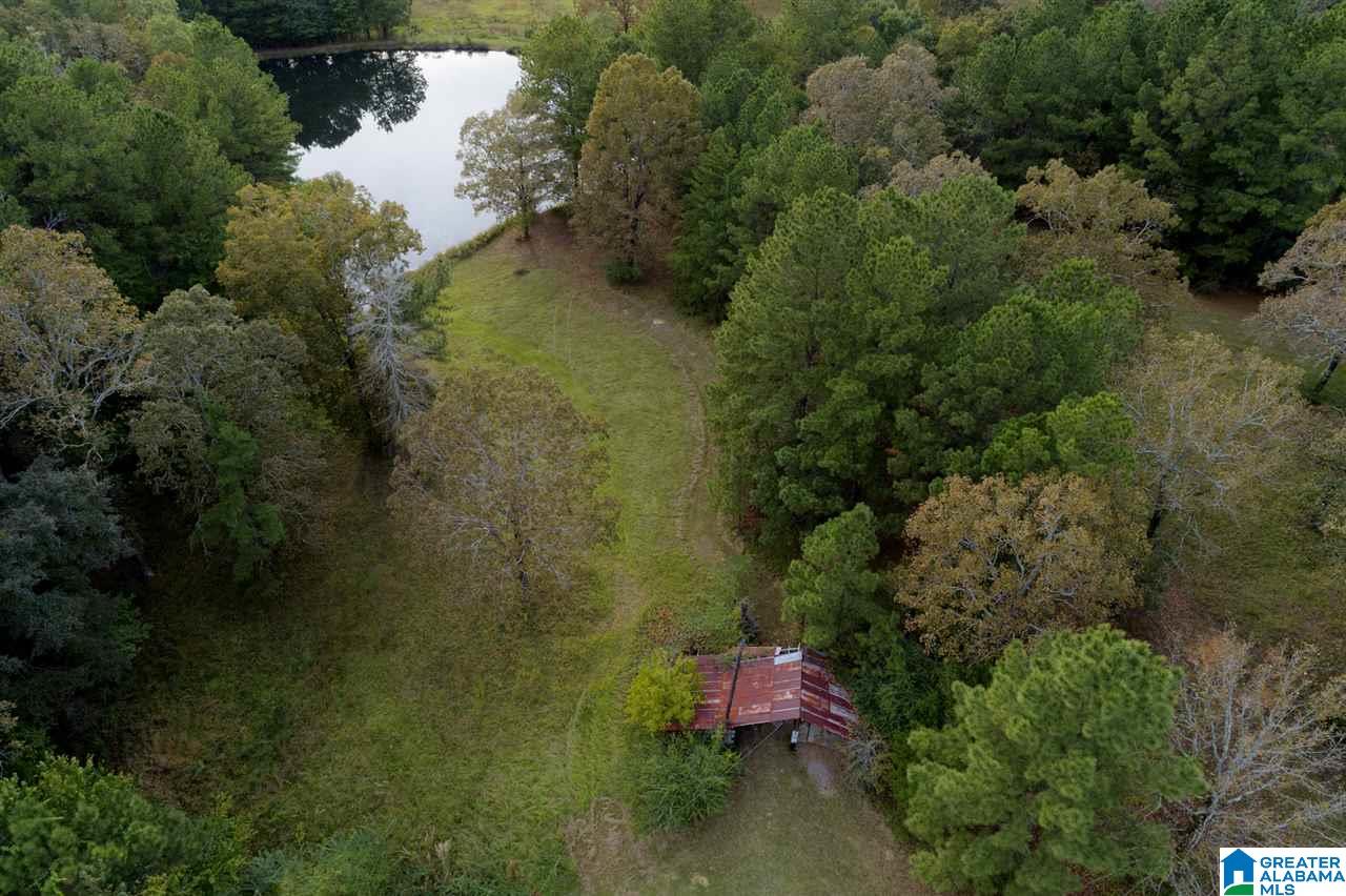 Serene Lake Road, Unit 8471 McCalla, AL 35111 - Photo 19 of 30