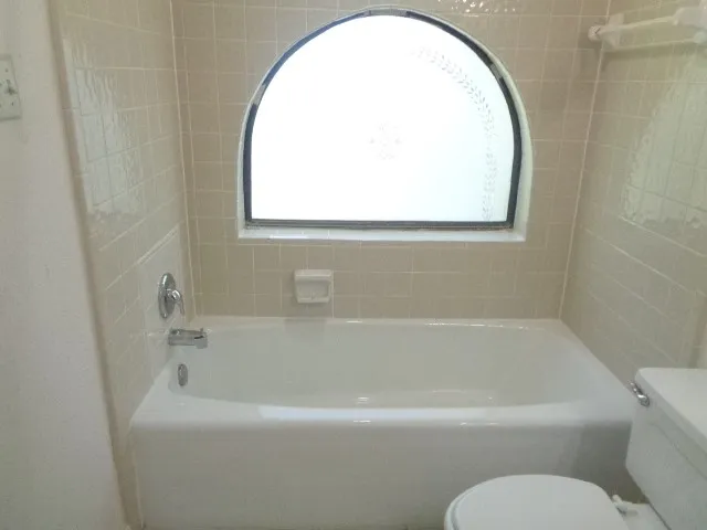 a bathroom with a toilet and a bathtub