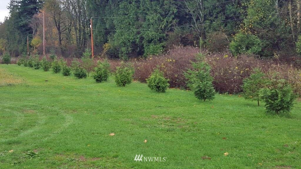 6545 Mission Road Everson, WA 98247 - Photo 11 of 13