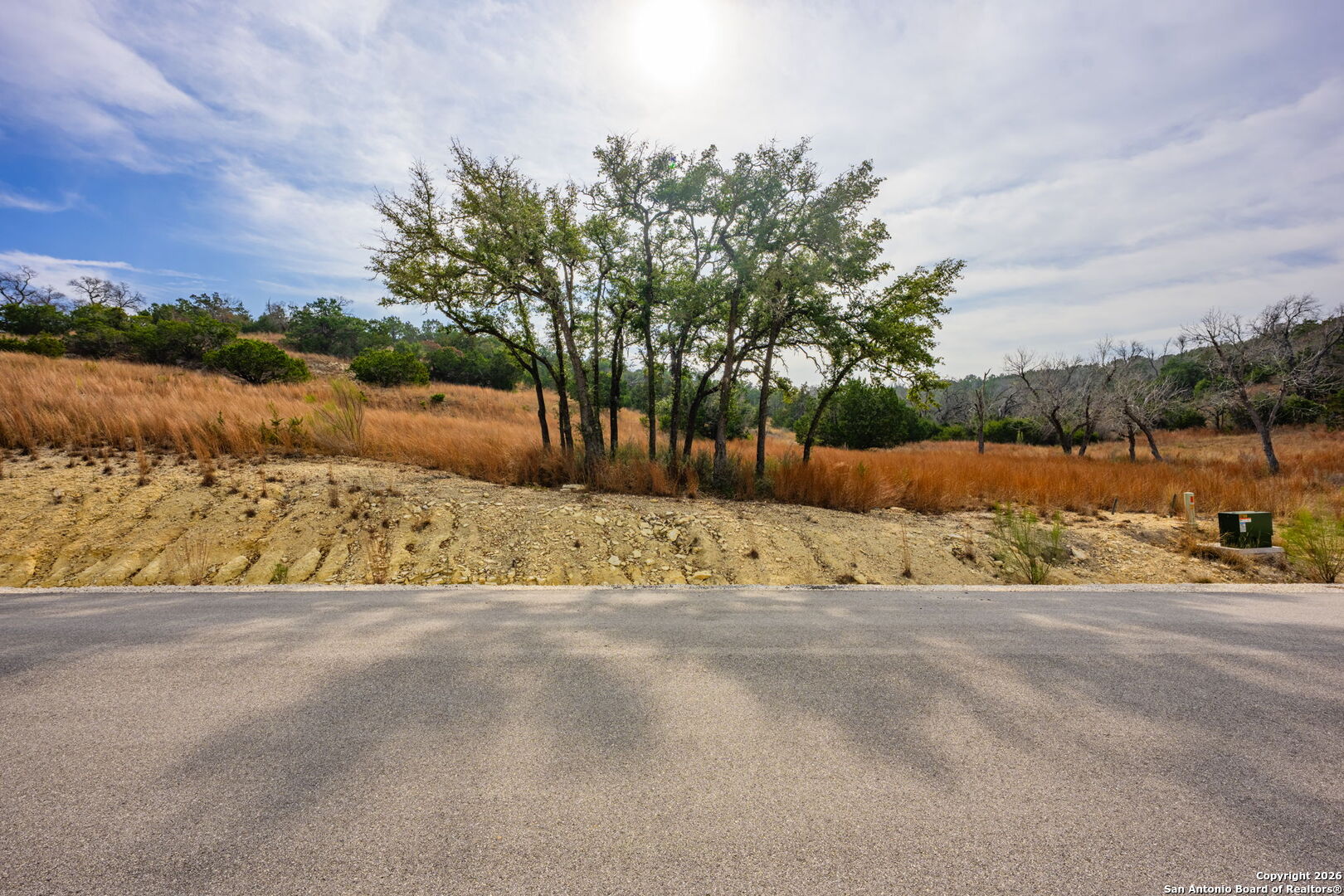 Lot 34 Great Sky Ranch Kerrville, TX 78028 - Photo 16 of 20 a street view with large trees