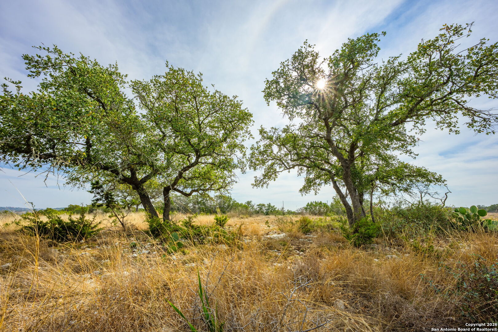 Lot 34 Great Sky Ranch Kerrville, TX 78028 - Photo 17 of 20