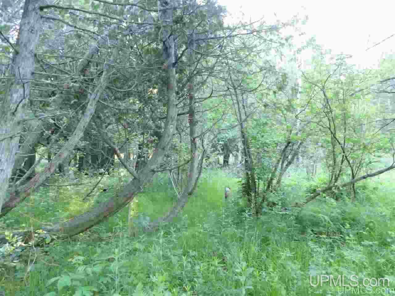 11918 T Road Rapid River, MI 49878 - Photo 15 of 49 Gallery Image 15