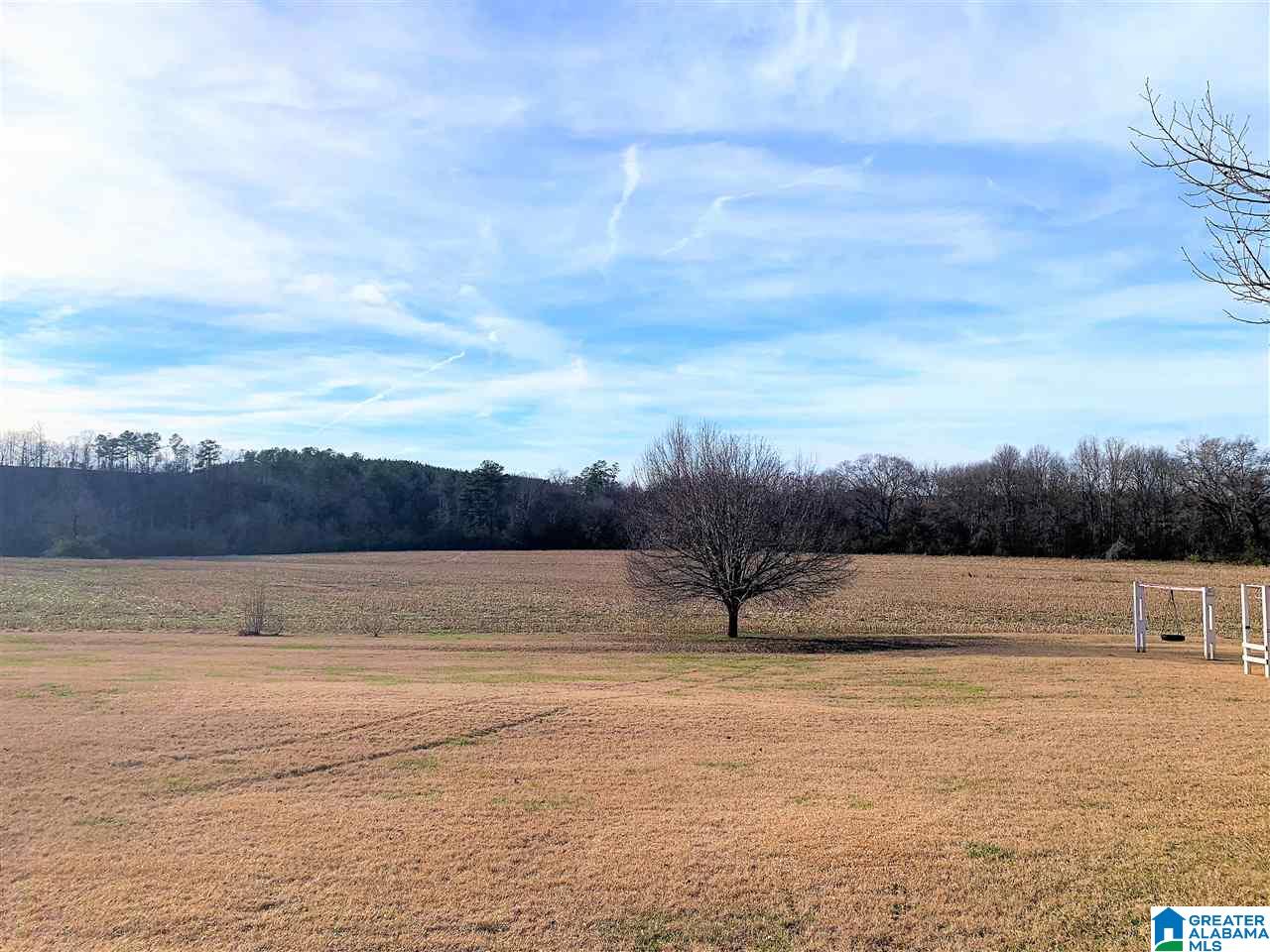 1141 County Road 482 Heflin, AL 36264 - Photo 7 of 44