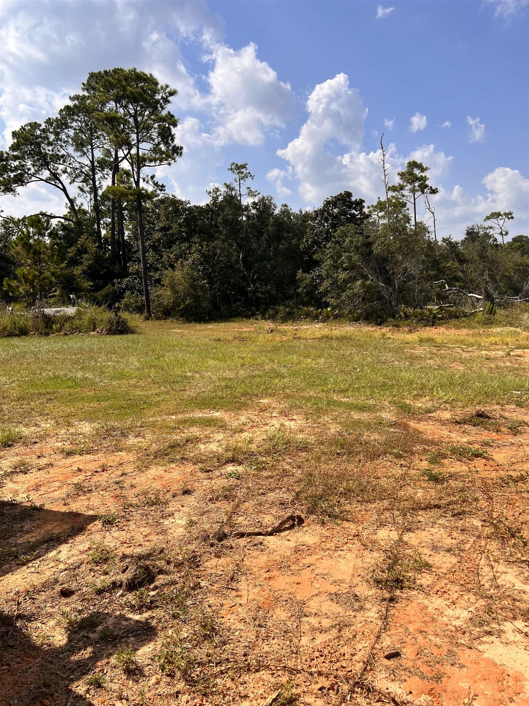 7480 Spring Branch Road Elberta, AL 36530 - Photo 1 of 3