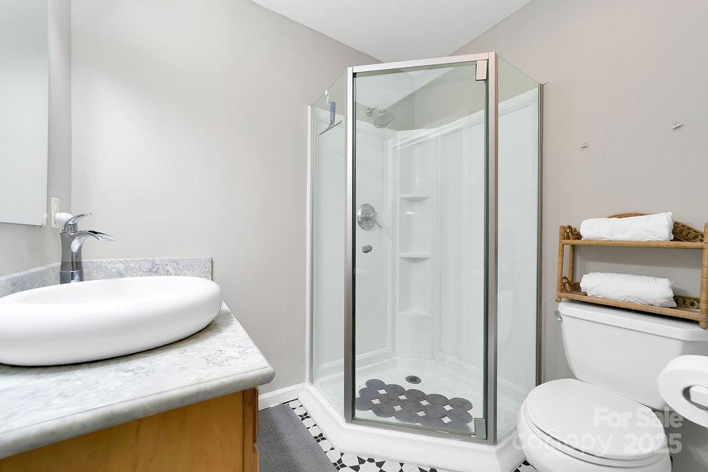 1881 Becky Mountain Road Brevard, NC 28712 - Photo 21 of 40 a bathroom with a granite countertop sink a toilet and shower