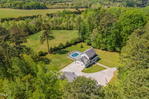 a living room with furniture a fireplace and a potted plant