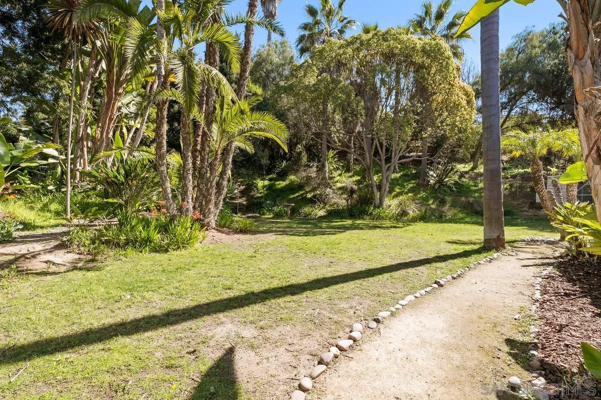255 Cole Ranch Road Encinitas, CA 92024 - Photo 41 of 45 a view of a yard with an trees