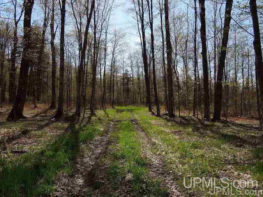 Tbd Tbd Us41 Lanse, MI 49946 - Photo 2 of 23