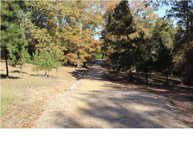1944 South McRaven Road Jackson, MS 39209 - Photo 2 of 20 Photo 2