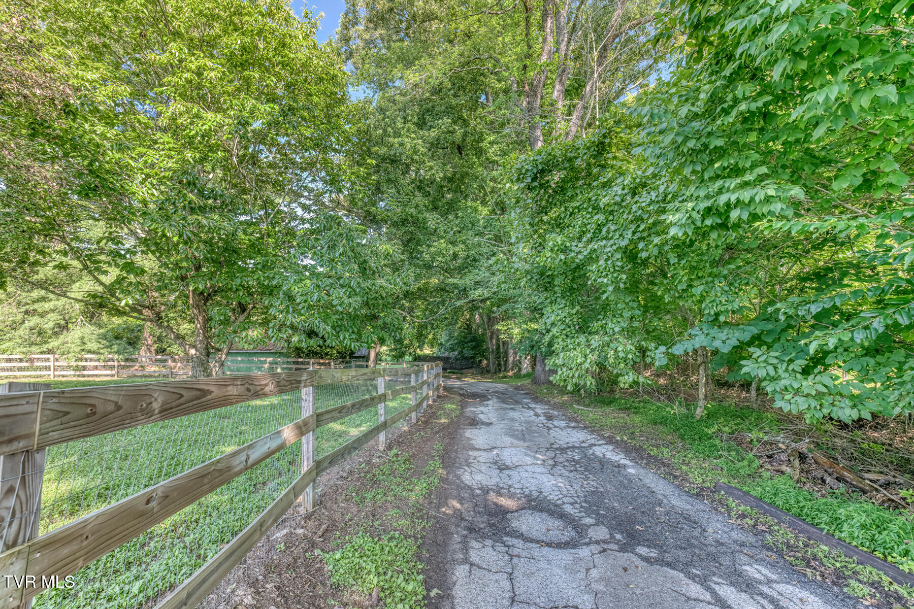 419 Kitzmiller Road Gray, TN 37615 - Photo 68 of 94 419 Kitzmiller Rd-85
