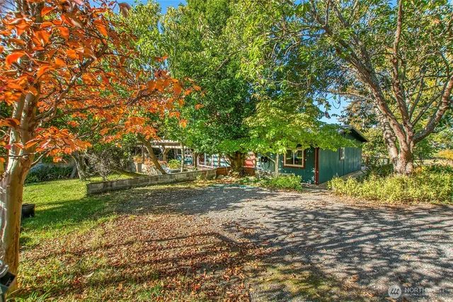 a view of a yard with plants and trees