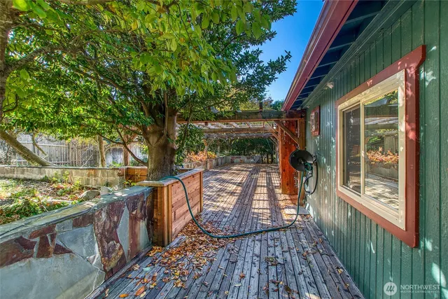a view of a yard with plants and a large trees