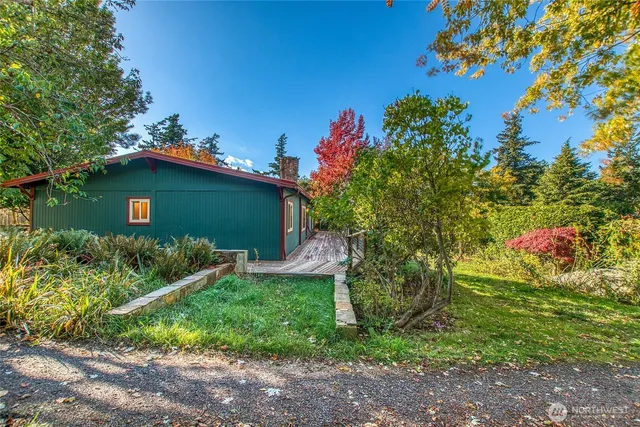 a view of a yard with plants and trees