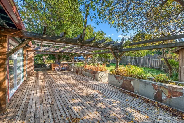 a view of a yard with plants and trees