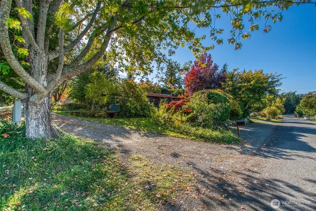a living room with furniture a fireplace and wooden floor