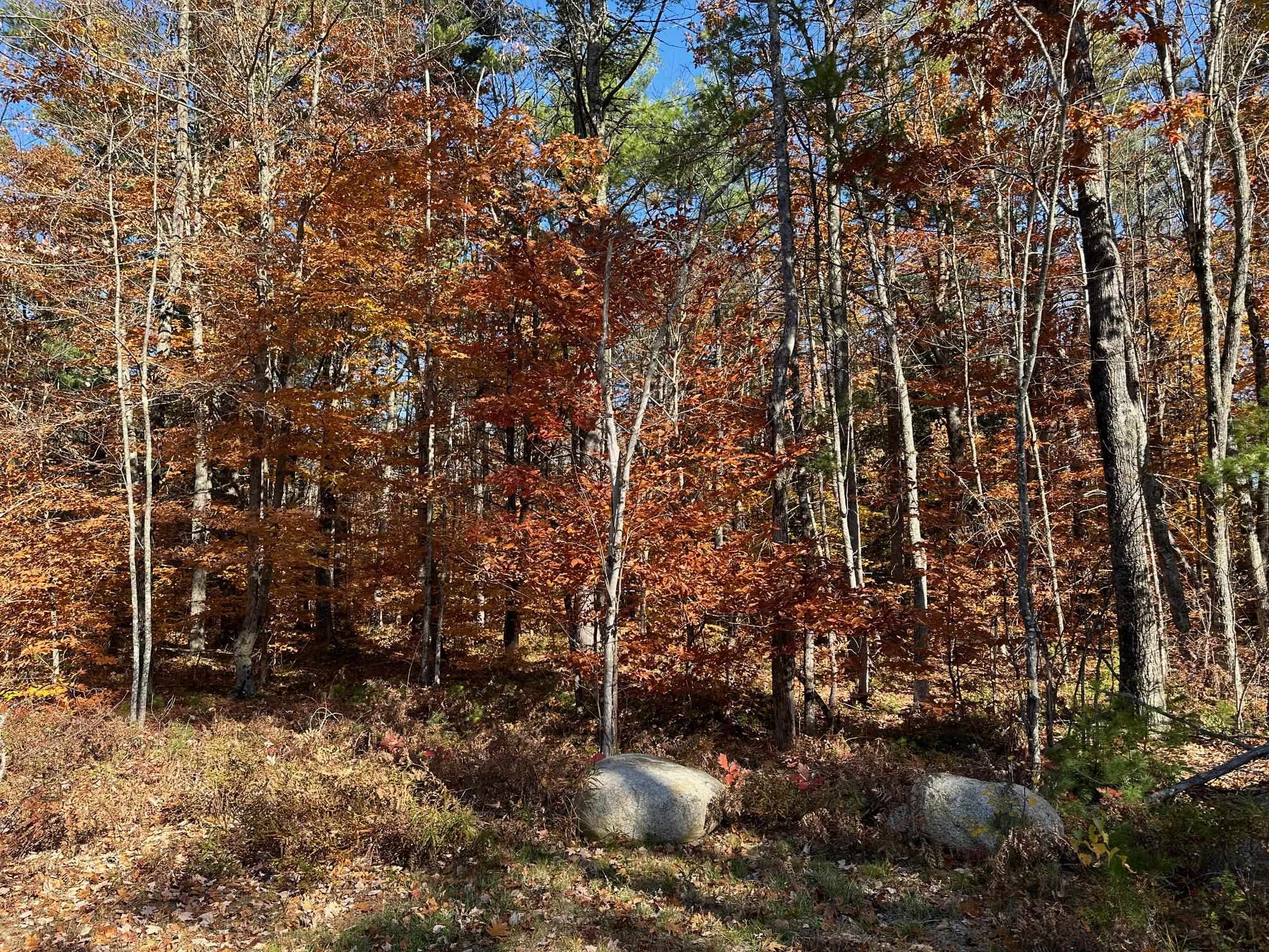 Old Goshen Road Center Conway, NH 03813 - Photo 1 of 3