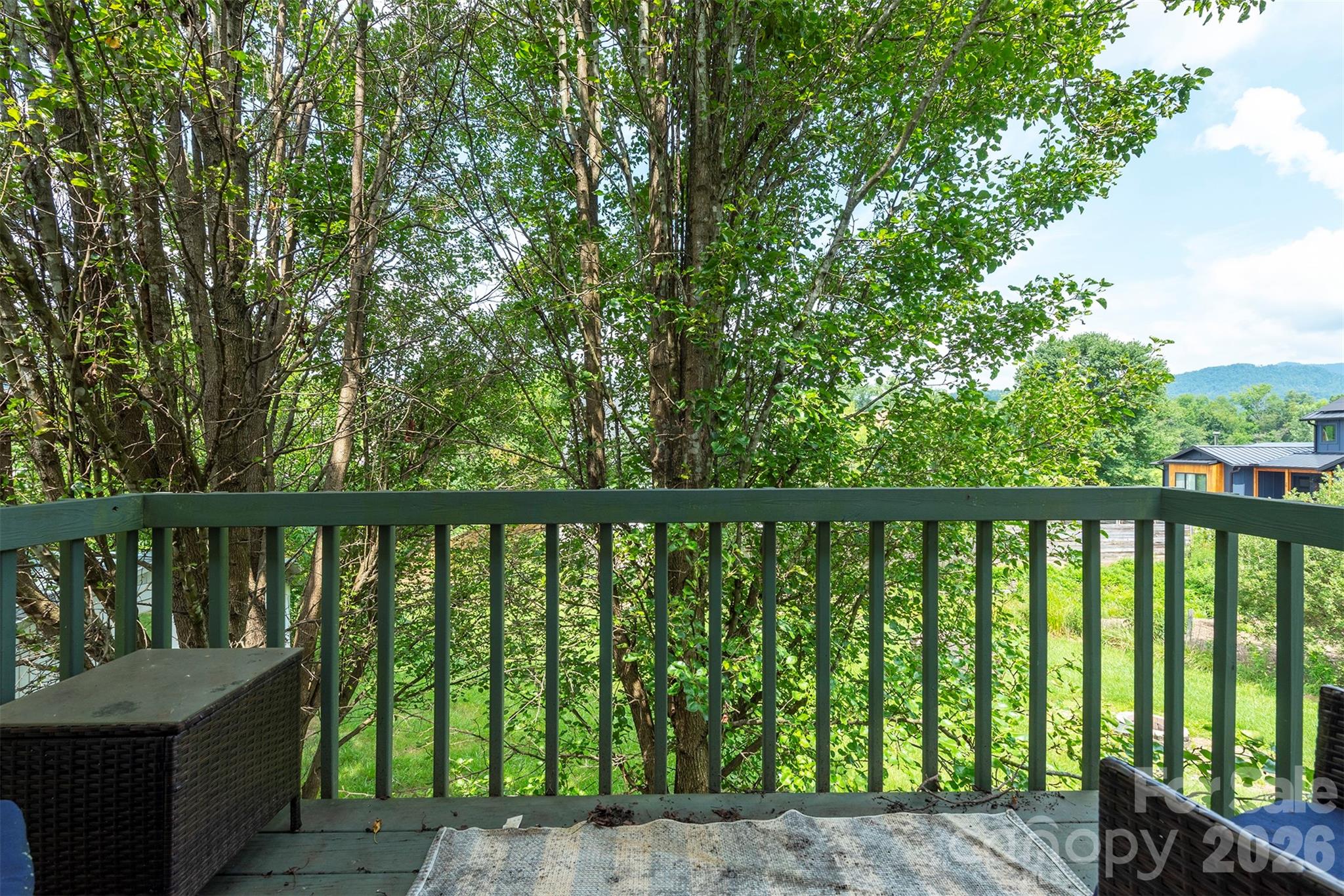 223 Davidson Road Swannanoa, NC 28778 - Photo 20 of 45