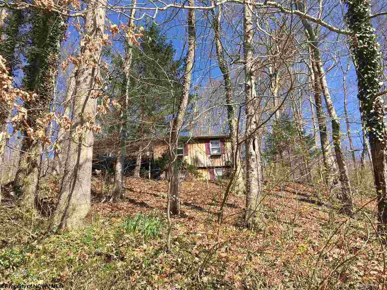 1423 Little Sand Run Road Buckhannon, WV 26201 - Photo 6 of 8 Gallery Image 6