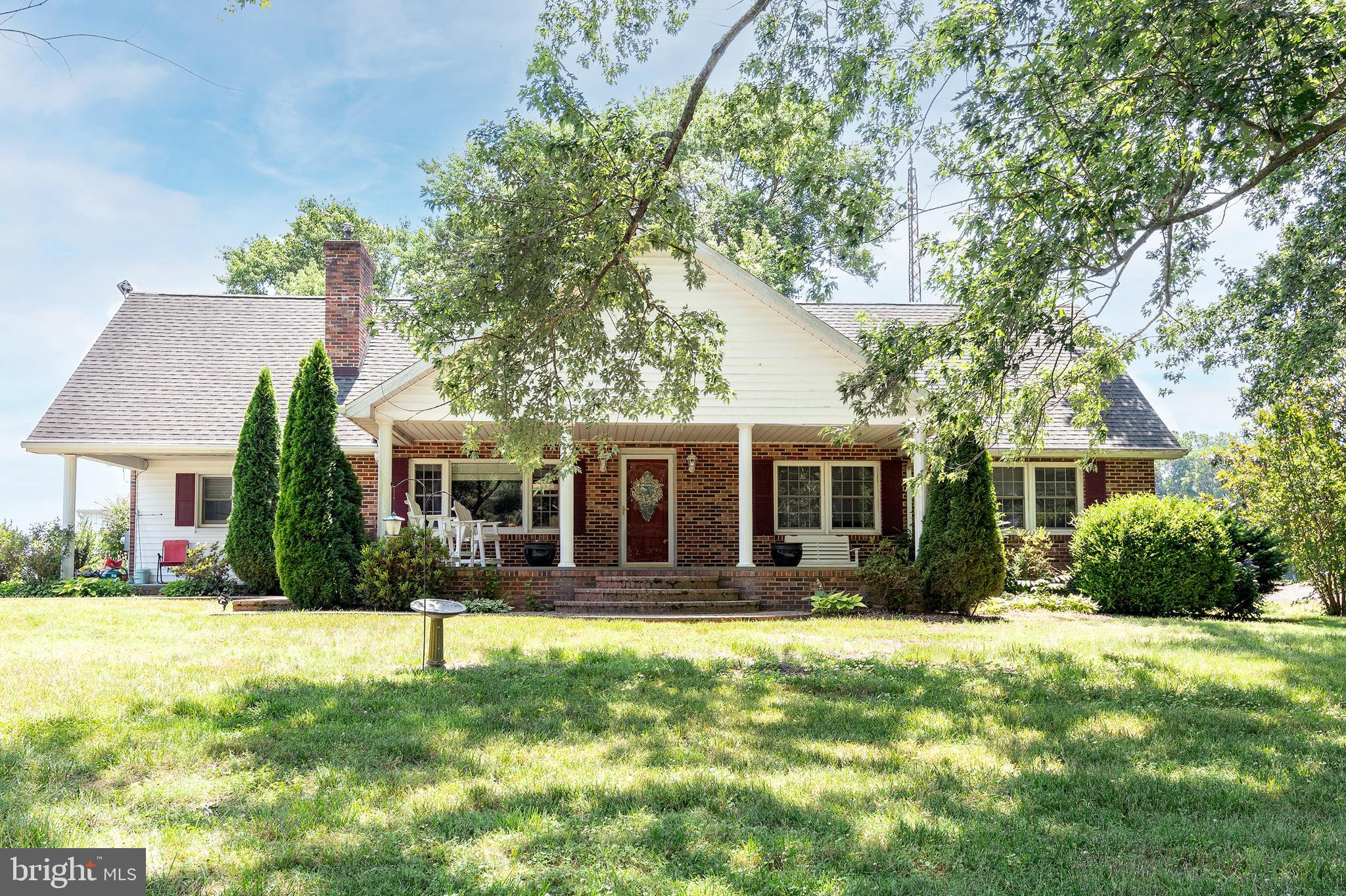 4657 Maiden Forest Road Rhodesdale, MD 21659 - Photo 5 of 32 Beautiful Mature Trees!
